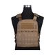 Разгрузочный жилет EmersonGear CP Lightweight AVS Vest (Coyote)