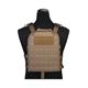 Разгрузочный жилет EmersonGear CP Lightweight AVS Vest (Coyote)