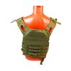 Разгрузочный жилет MOLLE Jump Plate Carrier TPG-01 (Green)