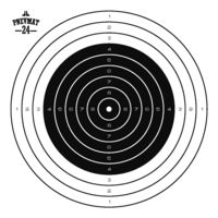 Мишени для пневматики Pnevmat24 №8, 100x100 мм (50 штук)
