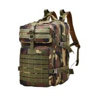 Тактический рюкзак Yakeda BK-2265 Molle, 600D +PVC, 45 л (WoodLand)